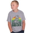 thumbnail image 3 of Vintage Cartoon Make Way For Bad Luck Crewneck T Shirts Boy Girl Teen Brisco Brands XS, 3 of 5