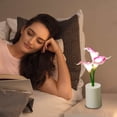 thumbnail image 5 of Mini Flower Pot Night Light Desk Lamp for Bedroom, Home Decor, Romantic Atmospheres, Battery Operated, Gift Idea, 5 of 5