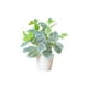 thumbnail image 2 of Decoración del hogar, decoración de habitaciones, decoración de paredes, plantas verdes artificiales, simulación de macetas, decoración del vestíbulo del hotel, oficina en casa, plantas verdes, decora, 2 of 6