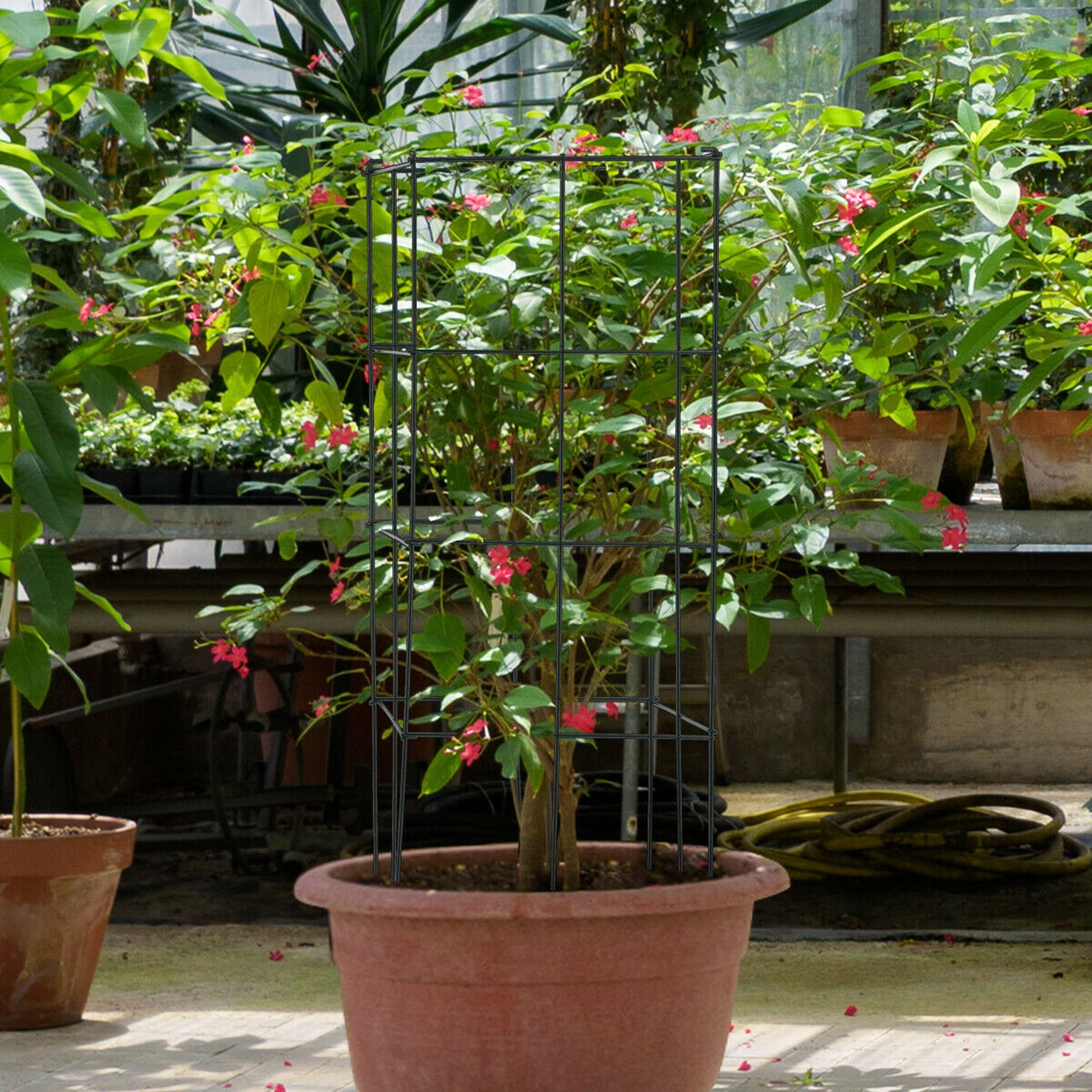Gymax 4 Pack Tomato Cages Garden Cages Stakes Plant Trellis 16'' x 16'' x 39''