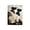 Color 1, variant on SPXUBZ Cat And Butterfly Garden Scene Table Cloth For Rectangle Tables 70x55 inch Stain Resistant Washable Polyester Table Cloth Decorative Fabric Table Cover For Dining Tables Parties