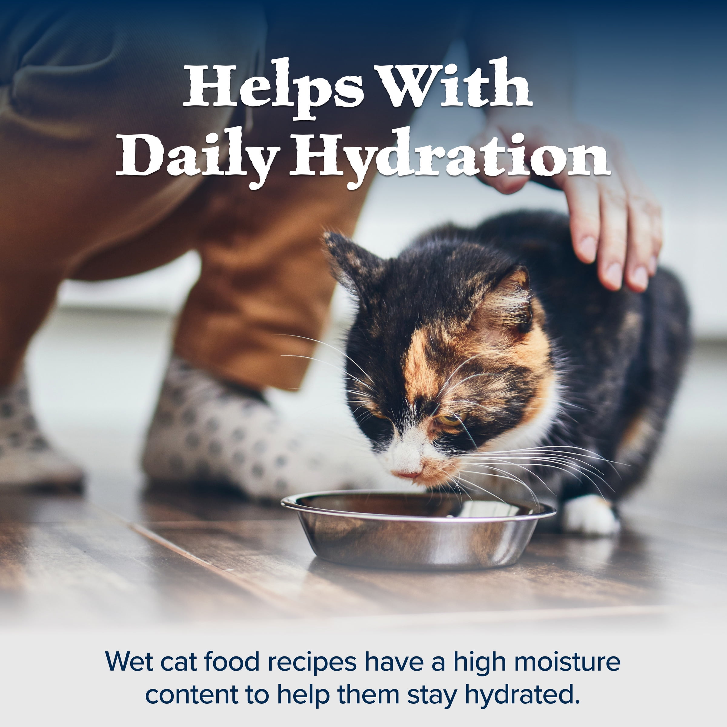 (24 pack) Blue Buffalo Wilderness High-Protein Adult Cat Wet Food, Duck, 3-oz. Can
