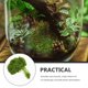 thumbnail image 3 of 1 paquete de musgo artificial realista para manualidades, peceras y proyectos de micropaisaje, simulación de musgo, bonsái, decoración decorativa de terrario con musgo falso, 3 of 5