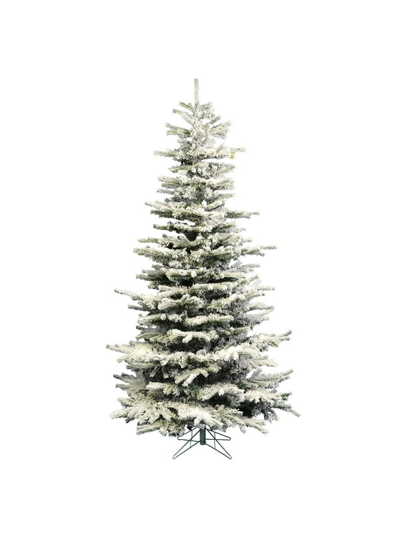 8 Foot Christmas Trees