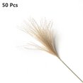 thumbnail image 1 of Real Beautiful Gift Holiday Reed Flower Bunch Pampas Grass Phragmites Home Decor Dried Flower 50 PCS, 1 of 1