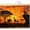 Orange, variant on Africa Savannah Wildlife Cabinet Curtains 10" W x 11" L, Elephant Lion Zebra Leopard Under-Desk Privacy Dust Proof Drape Dishwasher Curtain Sink Skirt for Kitchen Closet Bathroom Laundry