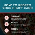 thumbnail image 3 of Bubbas $25 eGift Card [Email Delivery], 3 of 5