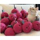 thumbnail image 4 of Juguete para gatos Masticar Stick | Masticable dental de hierba gatera Polygonum de madera natural | Terciopelo de cristal suave en forma de pera Autojuego | Juguete interactivo de peluche para, 4 of 5