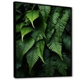 thumbnail image 2 of Designart "Ferns Plant Monochrome Euphony II" Floral & Botanical Floater Framed Wall Art Print, 2 of 7