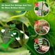 thumbnail image 4 of Dobladora de Clips para Plantas, 4 of 5