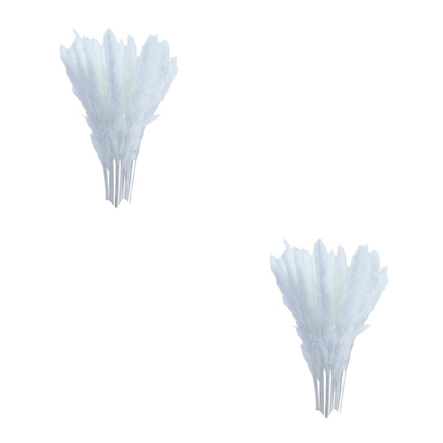 Billuyoard 15x Dried Pampas Grass Phragmites Reed Gift Decor Wedding Flower Bunch Home Blanco 2Conjunto