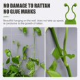 thumbnail image 6 of Cute Chip Clips Plant Climbing Wall Fixing Clip (50 Pieces) Self Adhesive Hooks For Plant Fixators Suitable For Wall Vine Plant Plant Vine Traction Garden Vegetable Plant Fi, 6 of 6