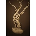 thumbnail image 2 of Berzel, Erin 23x32 Black Ornate Wood Framed with Double Matting Museum Art Print Titled - Sea Nettle IV, 2 of 4