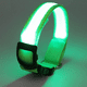 thumbnail image 1 of Collar para perros recargable con luz emisora, collar de seguridad de malla suave ajustable para mayor comodidad., 1 of 5