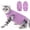 Purple, variant on Amztom Cat Recovery Suit, Post-Surgery Onesie for Spay Neuter, Breathable Anti-Lick with Horizontal Buckle, Purple, M