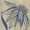 Unframed, variant on Art.com Indigo Coneflower Stretched Canvas Print Wall Art by Chariklia Zarris, 24" x 24"