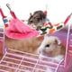 LAFGUR Hamster Double Couche Maison Suspendue au Hamster, Cochon d'Inde Hamster – image 3 sur 8