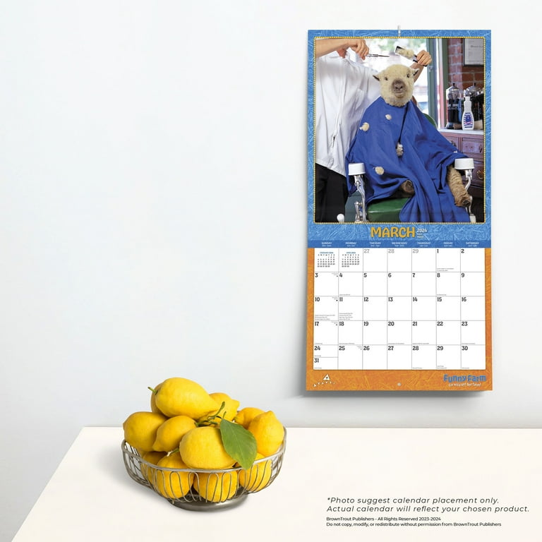 Usd 259 Calendar 2024 22 caria madeline