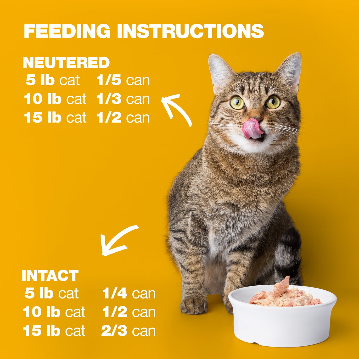 Natural Code - Wet Cat Food, Limited Ingredient Cat Food, High-Protein, Non-GMO, No Artificial Additives, Made In Italy, Chicken in Broth for Adult Cats (3 oz, 24 Pack)