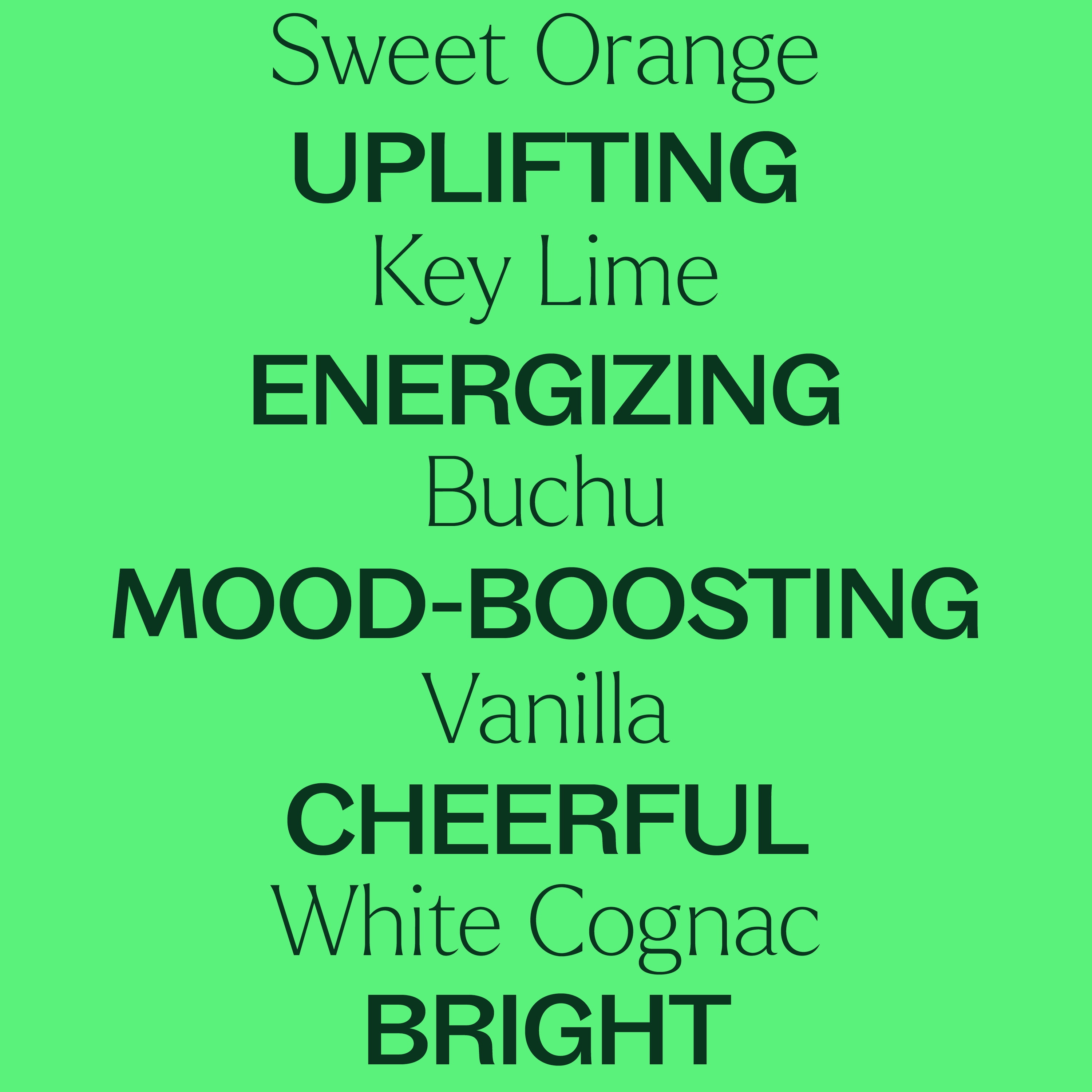 Plant Therapy Tropical Scents Home Set of 3 Essential Oil Blends Including Natural Scents to Scent Your Home with Honeybell, Lime in the Coconut & Tropical Passion 10 mL (1/3 oz) each
