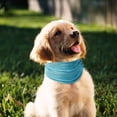 thumbnail image 3 of Cooling Pet Scarf with Buttonholes, Summer Ice Neck Wrap for Small Medium Large Dogs, Breathable Cold Scarf for Outdoor Walks, 3 of 5