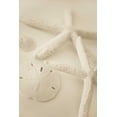 thumbnail image 2 of Karyn Millet 17x24 Gallery Wrapped Canvas Wall Art Titled - Ocean Treasures VI, 2 of 4