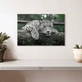 thumbnail image 2 of Elephant Stock Green Eyed Jaguar Wall Art - Horizontal Canvas Wall Art - Bedroom Wall Decor - Animal Canvas - Green And White Decor - 12" x 8", 2 of 5