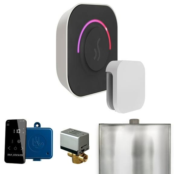 Mr Steam ButlerTouch Steam Shower Ctrl Pkg w/TempoTouch Control and Steamhead in White