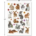 thumbnail image 3 of Current Bunny and Flowers Easter Stickers - 60 Stickers, Two 8-1/2" x 11" Sheets, 3 of 5