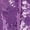 Purple, variant on Aislor Girls 2 Piece Sparkling Sequin Jazz Dance Outfit Sequined Tassels Cap Sleeves V Neckline Hem Zipper Metallic Vest with Pants Hot Pink 12