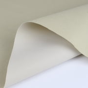 Waterproof Canvas Fabric Outdoor Cover Polyester Surface & PVC Coated Backing Ivory