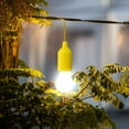 Blueek Pull Rope Light Bulb,LED Hanging Light, Color Battery Powered
