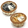 thumbnail image 1 of Coolayoung 2 Piezas Gato Durmiendo En Cesta Muñeca Juguete Mini Gatito En Cesta Tejida Con Sonidos De Maullidos Decoración Para Escritorio De Oficina Juguete De Mano Regalo Para Niños Niñas, 1 of 5