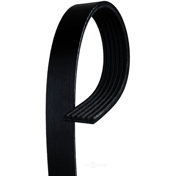 Acdelco 6K455 V Ribbed Serpentine Belt