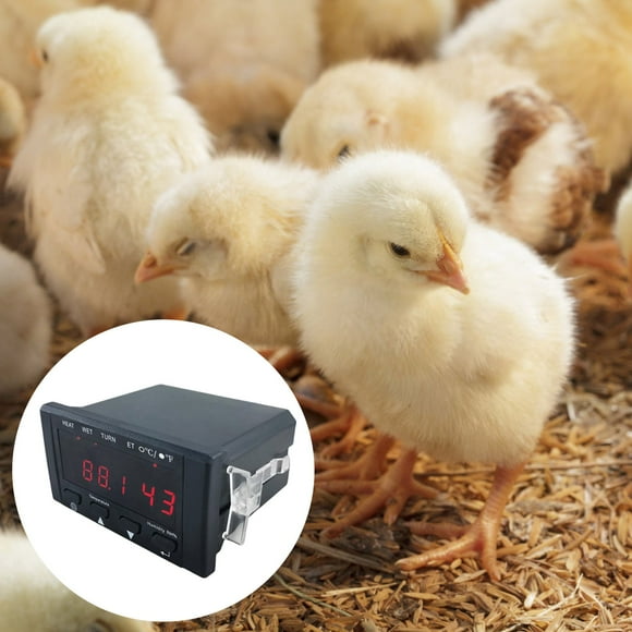 Heating Pads For Small Chickens Indoor And Farm Use With Durable Design For Optimal Comfort And Warmth