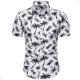 thumbnail image 1 of Camisa Hawaiana Con Estampado Para Hombre Playa Moda, 1 of 7
