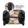 thumbnail image 2 of Kdxio Sea Shells Pattern Luggage Cover for Travel,Elastic and Durable,Fits 18-32 Inch,Anti-Scratch Suitcase Protector-No luggage included, 2 of 5