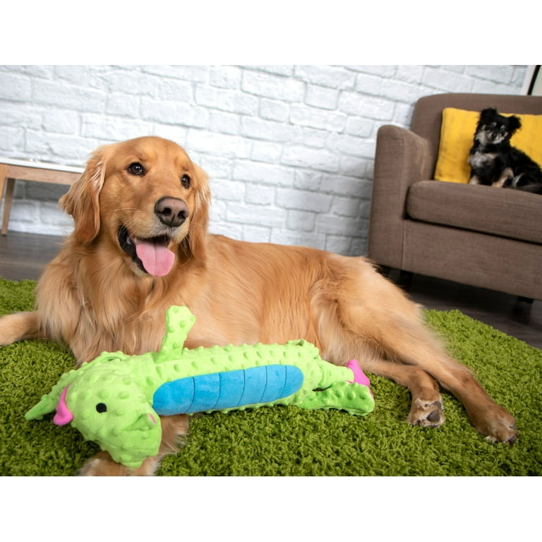 Alphatool Squeaky Dog Toy for Aggressive Chewer, Tough Plush Dog