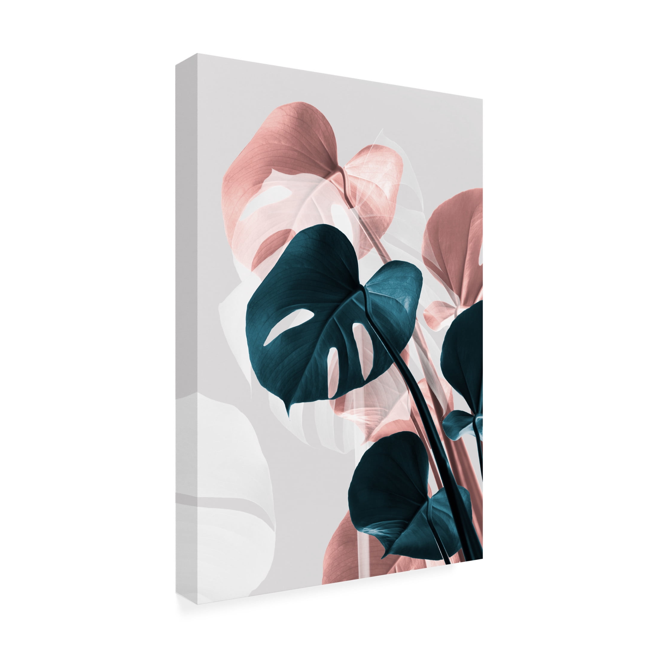 Trademark Fine Art Pictufy Studio Monstera Creative 17 Canvas Wall Art