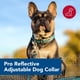 thumbnail image 2 of Collar para perro Coastal Pet Pro, ajustable y reflectante, azul brillante con gris, 1 x 14 a 20 pulgadas, 2 of 7