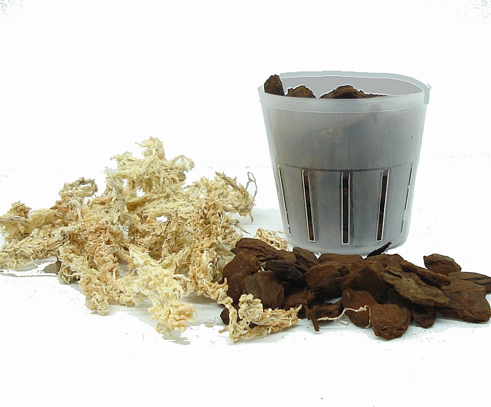 All you need to repot orchid. 3 inch plastic pot with choice of blended