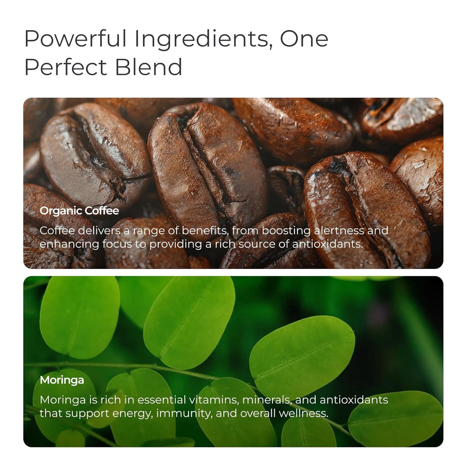 Livingood Daily Coffee with Moringa, Whole Bean Medium Roast Coffee with Plant Based Ingredients for Morning Energy, Made with Moringa Powder, Organic, Non GMO, Vegan, Gluten Free, 20 Srvgs, 12oz Bag