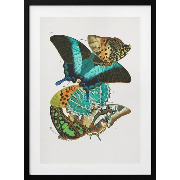 Butterflies 5 Framed Art Modern Wall Decor