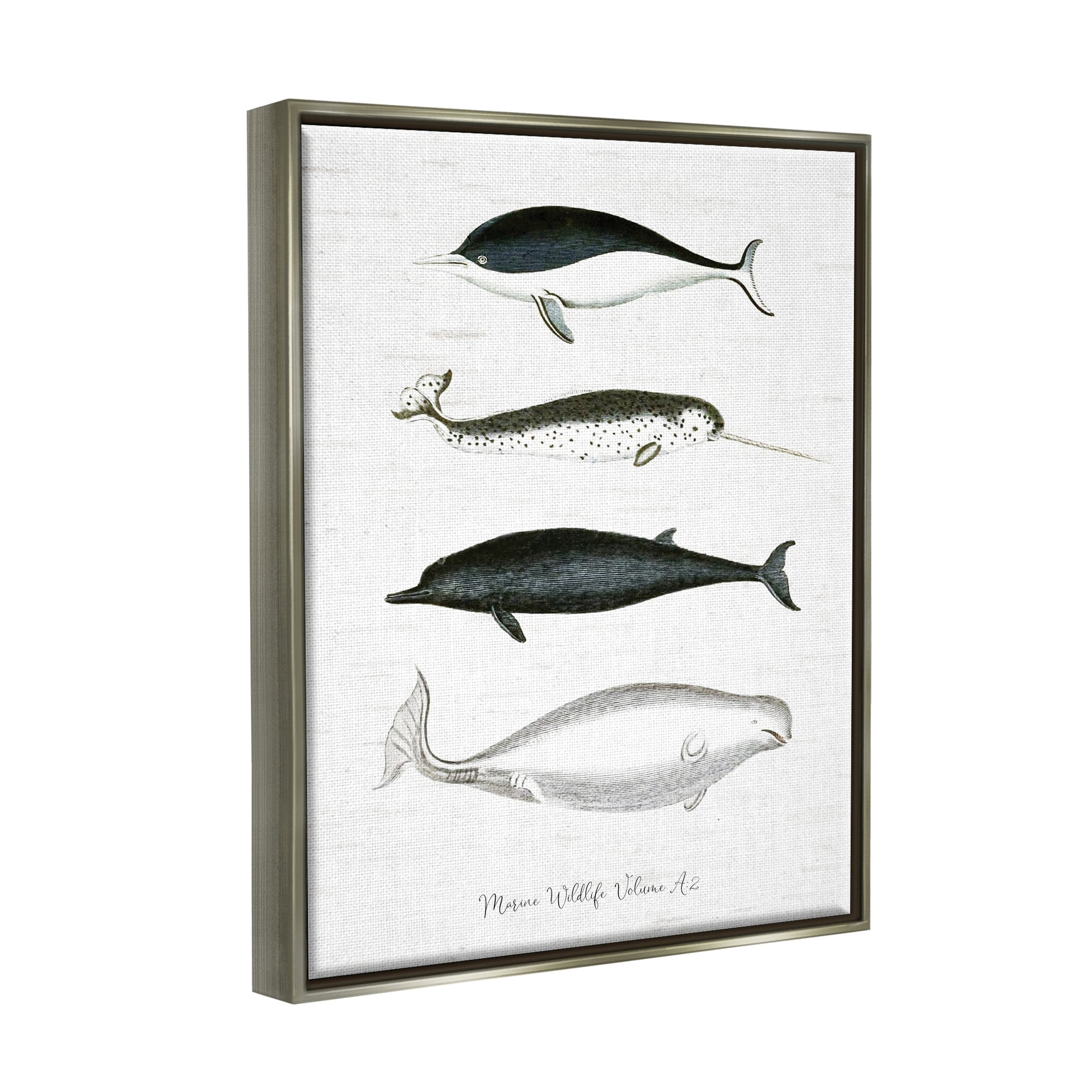 Stupell Industries Nautical Sea Life Whales Narwhal Marine Drawings Graphic Art Luster Gray Floating Framed Canvas Print Wall Art, Design by Lettered and Lined