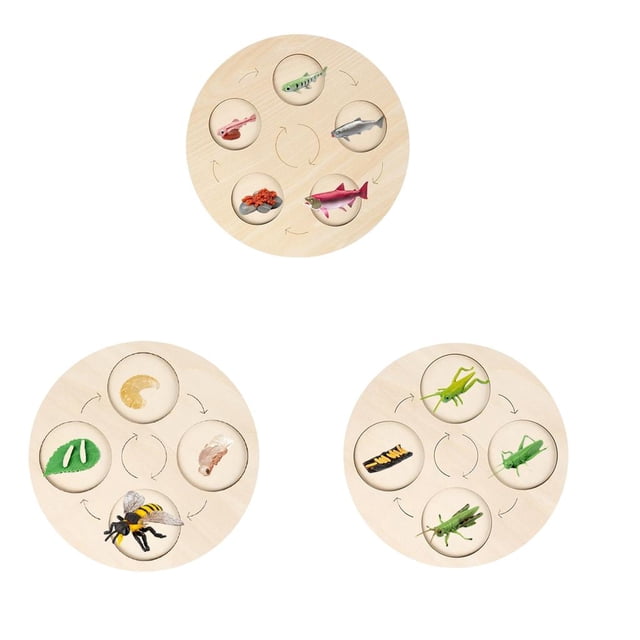 de 3 Tableros de de de , Regalos Educativos para Edades Tempranas, Material Didáctico, Juguete Natural para D CUTICAT Tablero de ciclo de vida