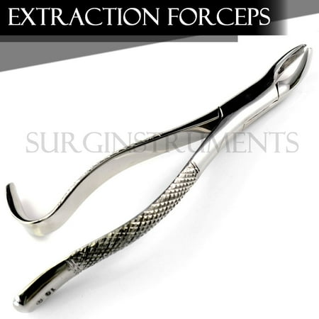 Extracting Forceps Dental Surgical Instruments 18R