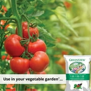 GreenView Multi-Purpose Fertilizer 10-10-10 Food - 33 lbs.