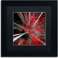 thumbnail image 1 of Trademark Fine Art "I Can't Believe It" Canvas Art by Philippe Sainte-Laudy Black Matte, Black Frame, 1 of 4