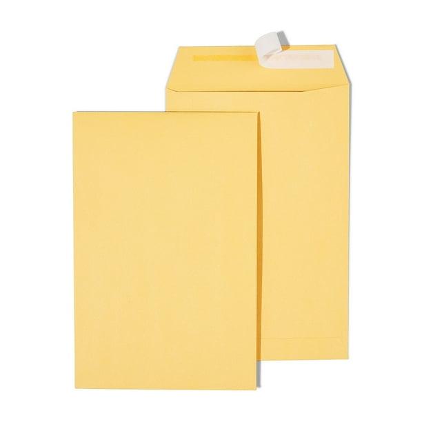 Staples EasyClose Catalog Envelope 6" x 9" Kraft 100/Box (20140) 892100