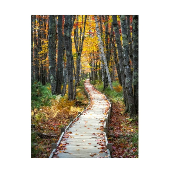 Canvas Wall Art - Danny Head 'Autumn Boardwalk I' Wall Art for Living Room, Bedroom, or Office Décor by Trademark Fine Art - 14 x 19 Inches